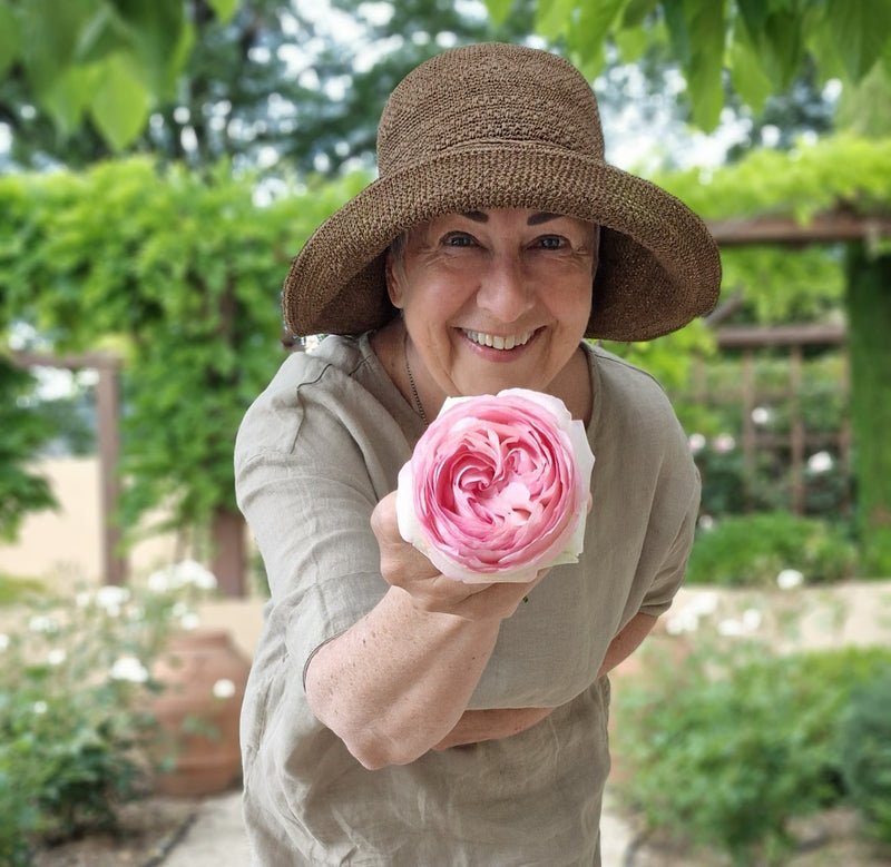 Rosa – fargen for voksne damer