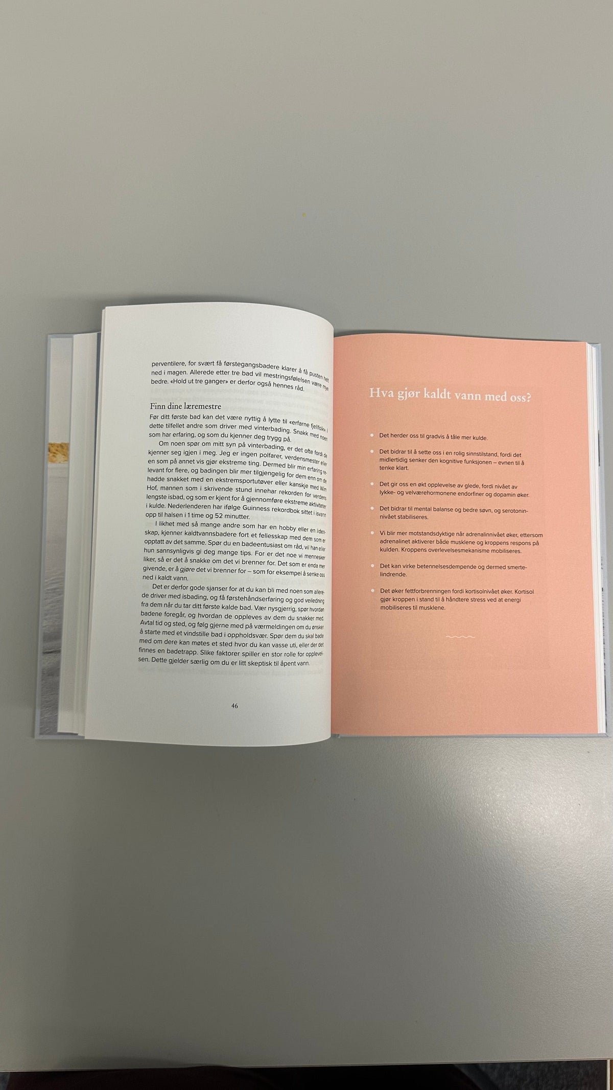 Cecilie Thunem Saanum Bøker Cecilie Thunem Saanum- Bok "Vinterbading" kunstkolonialen