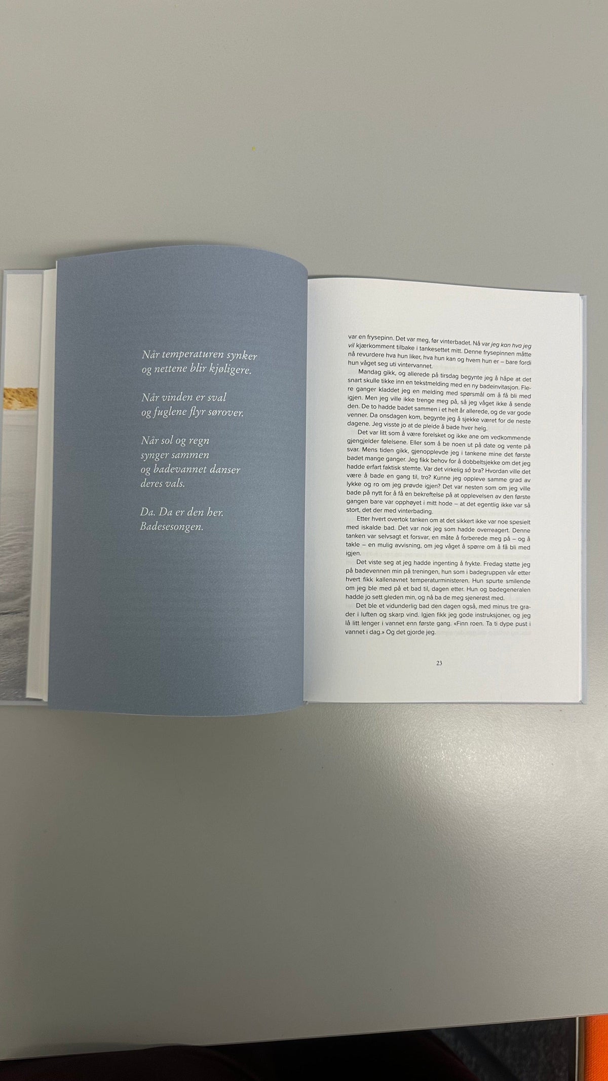 Cecilie Thunem Saanum Bøker Cecilie Thunem Saanum- Bok "Vinterbading" kunstkolonialen