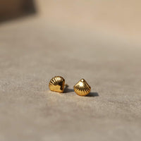 FRID Cosmetics Øredobber Frid Øredobber- Seashell kunstkolonialen