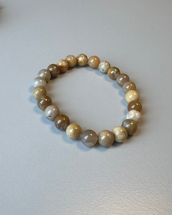 Leas Verden Armbånd Fossil korall Leas verden- Armbånd med forskjellige stein kunstkolonialen