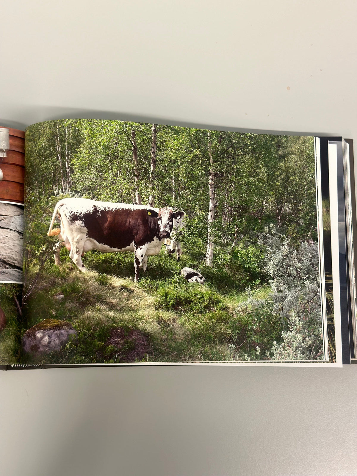 Sprossa Bøker Sprossa- Boken "Vern og Virke" kunstkolonialen
